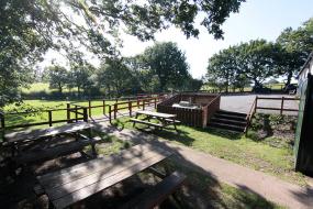 The Picnic Area